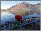 foto Lago di Como